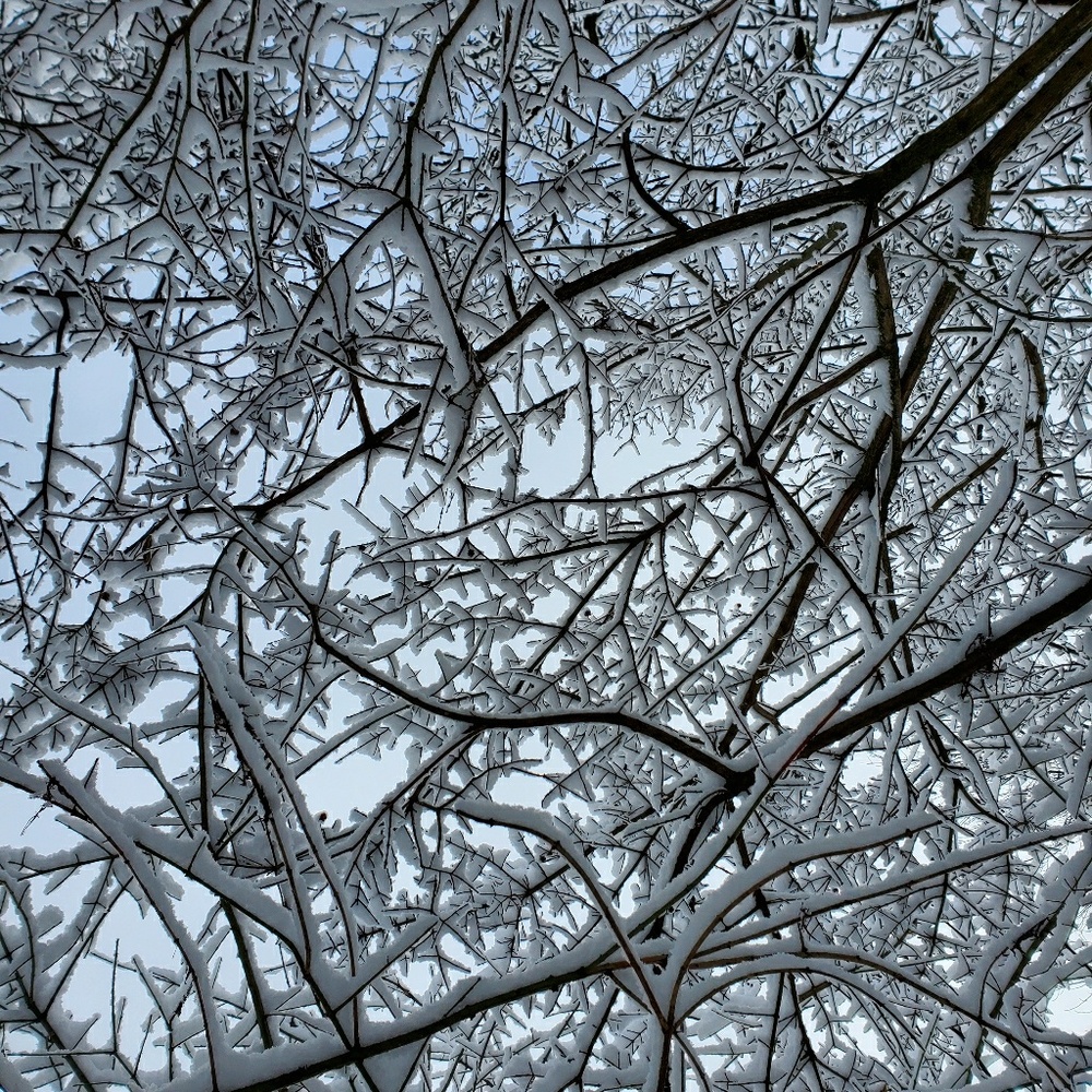 Meet your Posher, Zoe